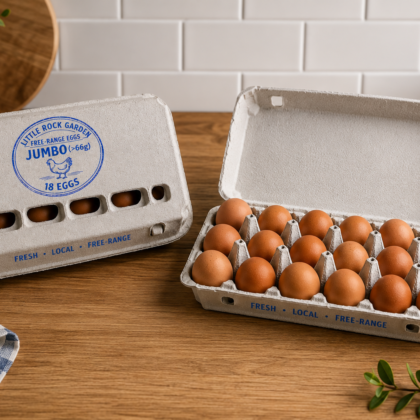 Tray of 18 free-range eggs