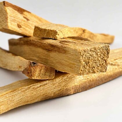 Palo Santo Sticks