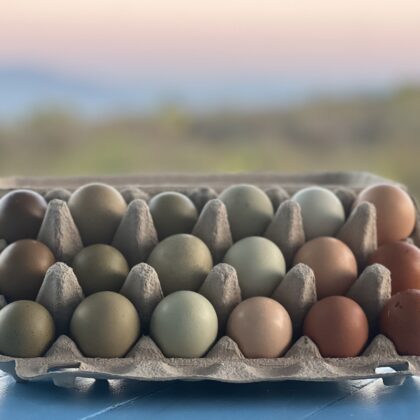 Non-GMO Free Range Eggs 18’s Trays - Heritage / Speciality Hens