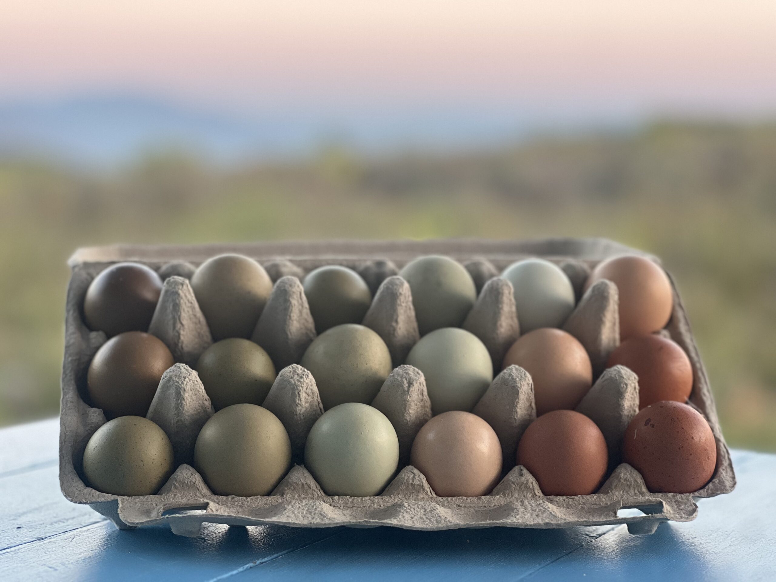 Non-GMO Free Range Eggs 18’s Trays - Heritage / Speciality Hens